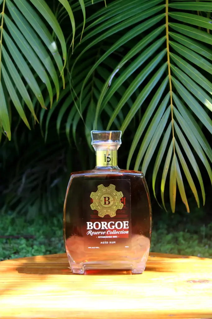 Borgoe15yr_edited.webp